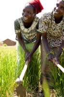 Women farmers