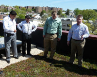 Green Roof