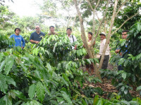The group in “the jungle”.